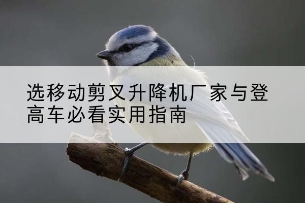 威县电动升降机厂家-选移动剪叉升降机厂家与登高车必看实用指南