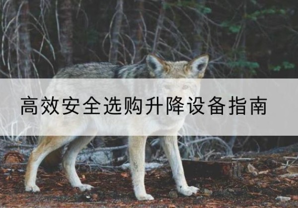 威县升降货梯厂家推荐-*安全选购升降设备指南